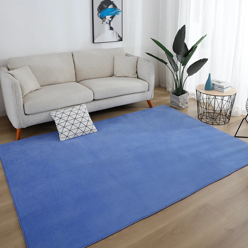 Gray Large Carpet Rug – Soft Non-Slip Bedroom & Living Room Floor Mat