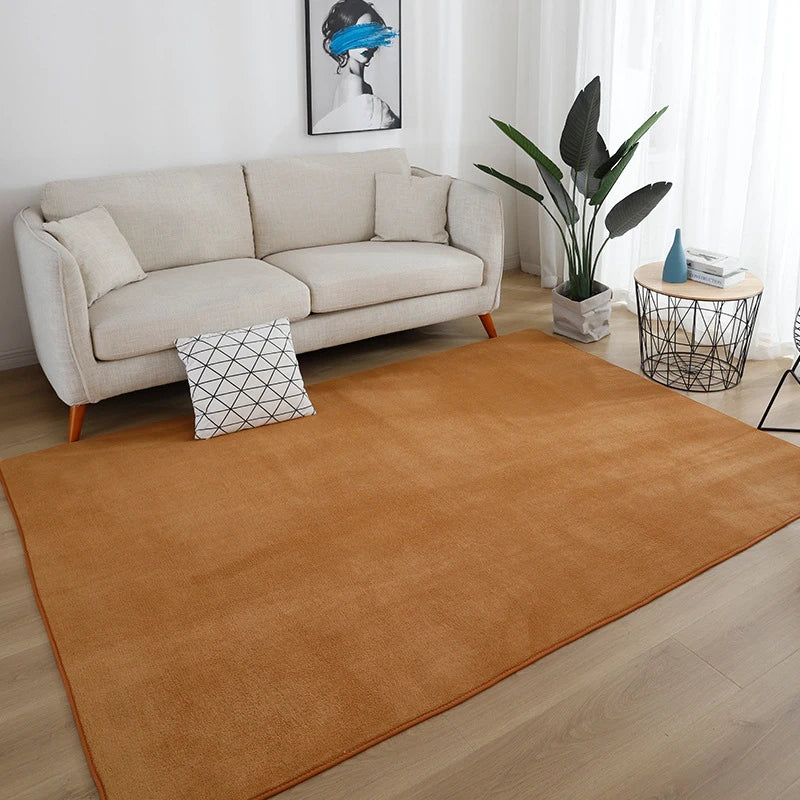 Gray Large Carpet Rug – Soft Non-Slip Bedroom & Living Room Floor Mat