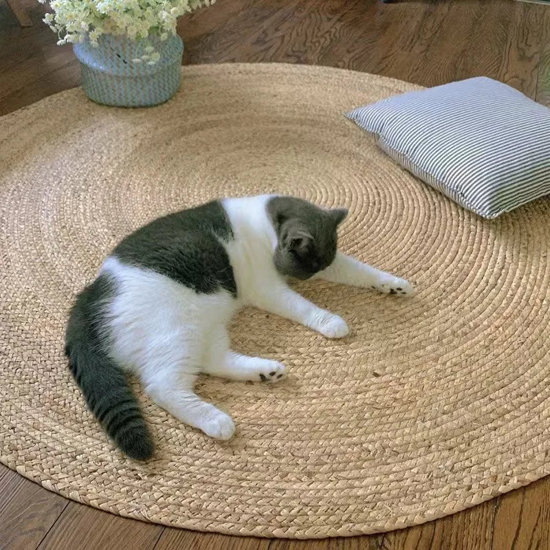 natural woven rug placed in living room corner