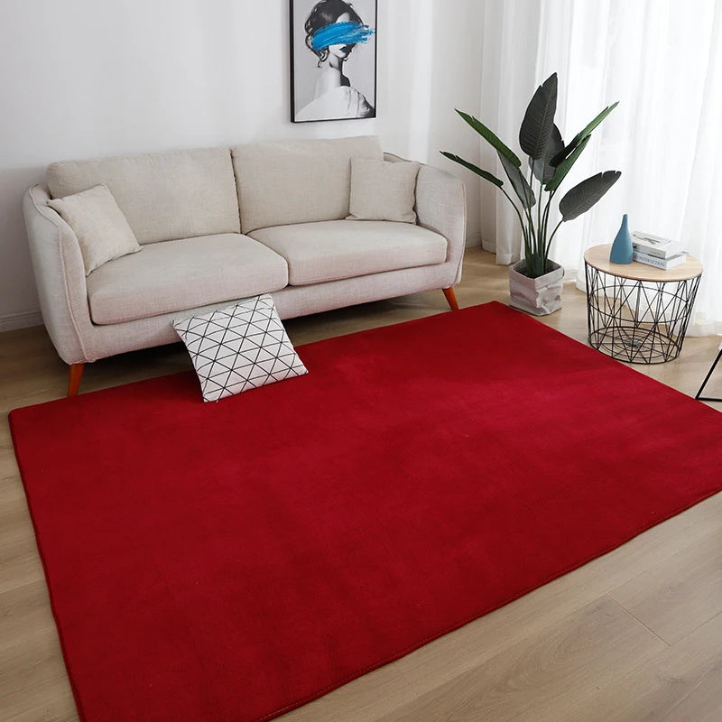 Gray Large Carpet Rug – Soft Non-Slip Bedroom & Living Room Floor Mat